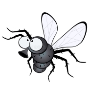 Картинки по запросу муха